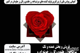 فروش ویژه گل رز جاودان قلبی در سراسر کشور