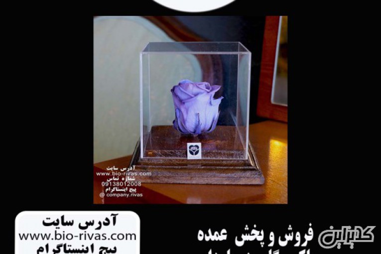باکس گل رز جاودان با بهترین قیمت در اصفهان