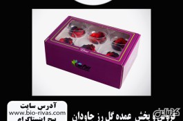 فروش عمده گل رز جاودان در تبریز