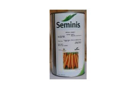 فروش بذر هویج سمینس 