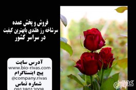 باکس گل رز جاودان در مشهد
