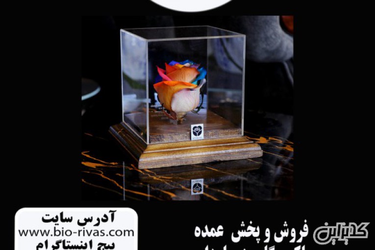 باکس گل رز جاودان در مشهد