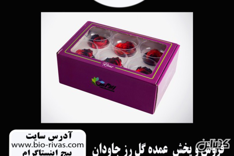 باکس گل رز جاودان فروش ویژه در اصفهان