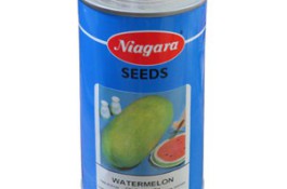 فروش بذر هندوانه نیاگارا 