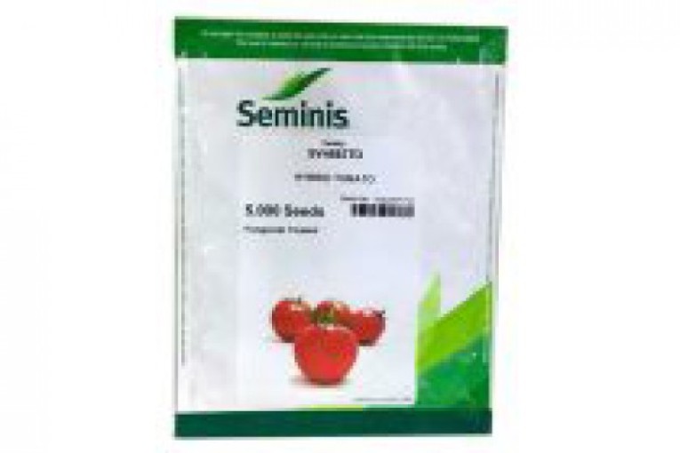 فروش بذر گوجه  SV 4592 سمینیس 