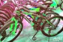 دوچرخه حرفه ای رنگارنگ پرسرعت