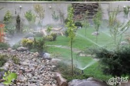 طراحی و اجرای سیستم آبیاری قطره ای و بارانی