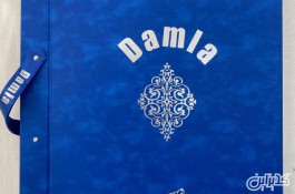 آلبوم کاغذ دیواری داملا DAMLA